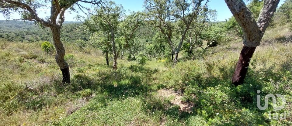 Terreno em Melides de 248 300 m²