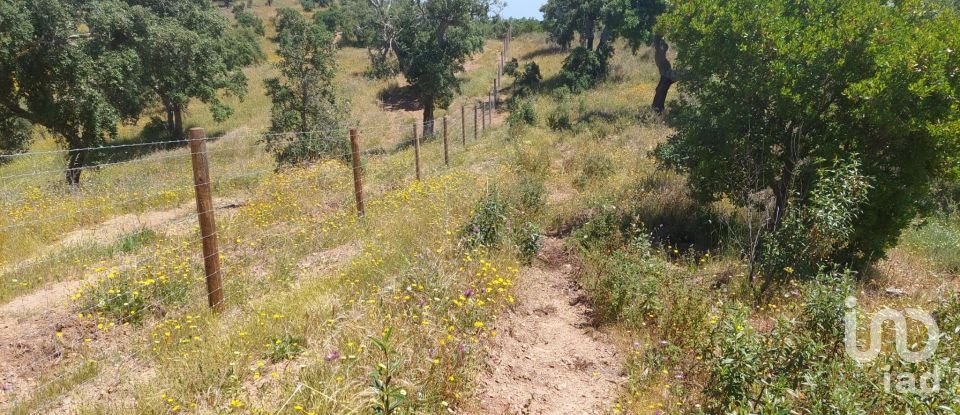 Terreno em Melides de 248 300 m²