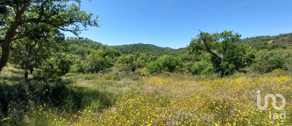 Terreno em Melides de 248 300 m²