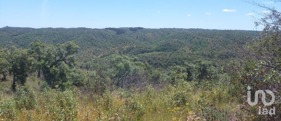 Terreno em Melides de 248 300 m²