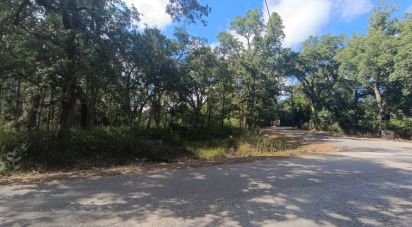 Terrain à Aljubarrota de 2 112 m²