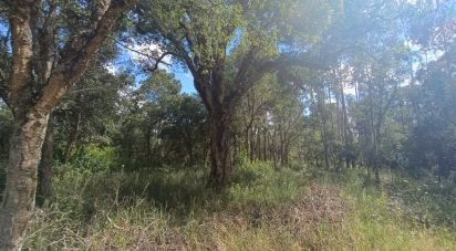 Terrain à Aljubarrota de 2 112 m²