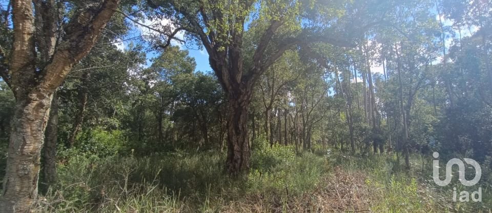 Land in Aljubarrota of 2,112 m²