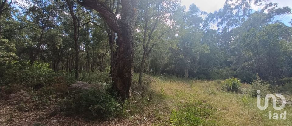 Land in Aljubarrota of 2,112 m²