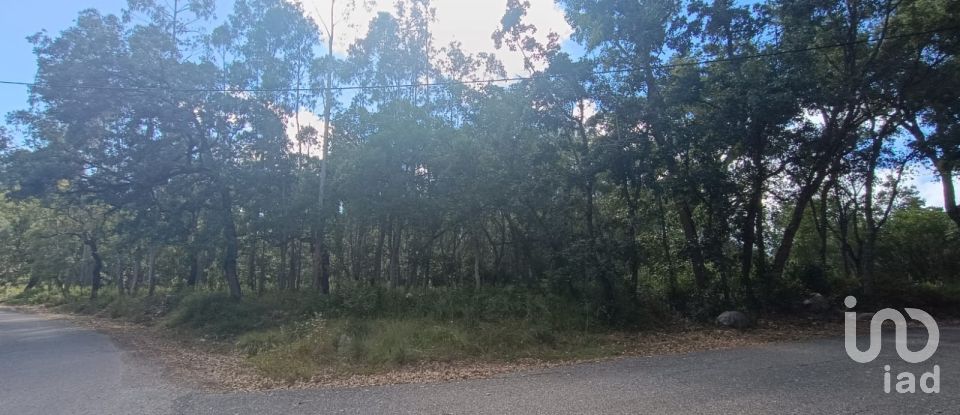 Land in Aljubarrota of 2,112 m²