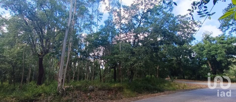 Land in Aljubarrota of 2,112 m²