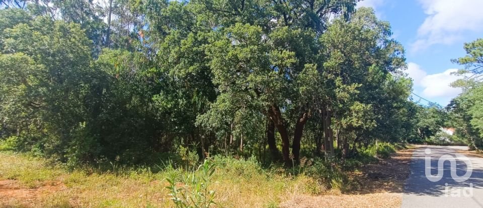 Land in Aljubarrota of 2,112 m²