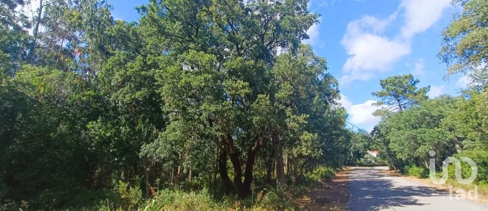 Land in Aljubarrota of 2,112 m²