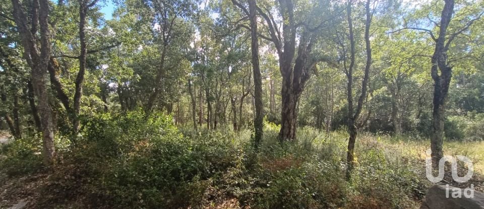 Land in Aljubarrota of 2,112 m²