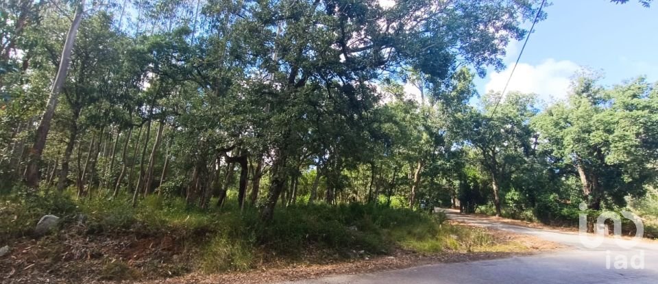 Land in Aljubarrota of 2,112 m²