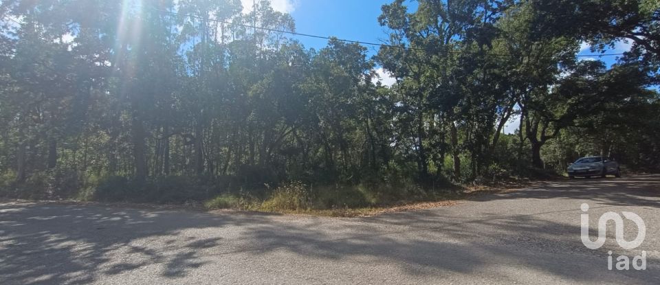 Land in Aljubarrota of 2,112 m²