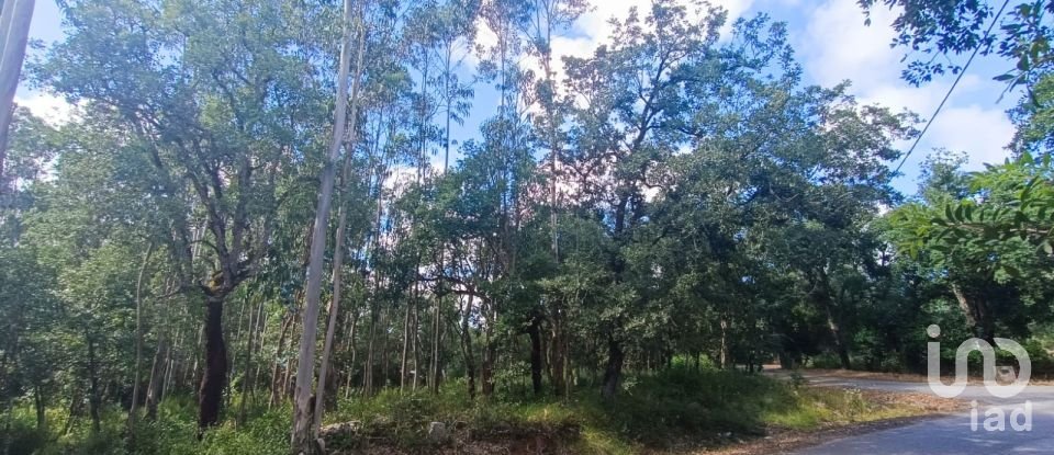 Land in Aljubarrota of 2,112 m²