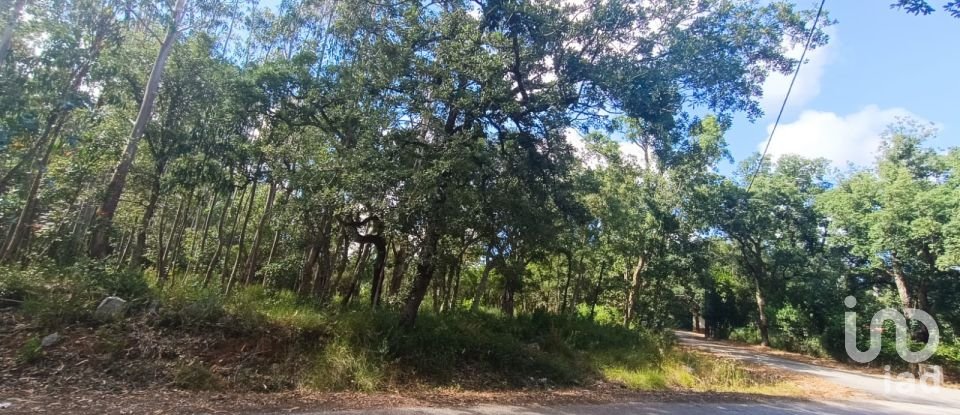 Land in Aljubarrota of 2,112 m²