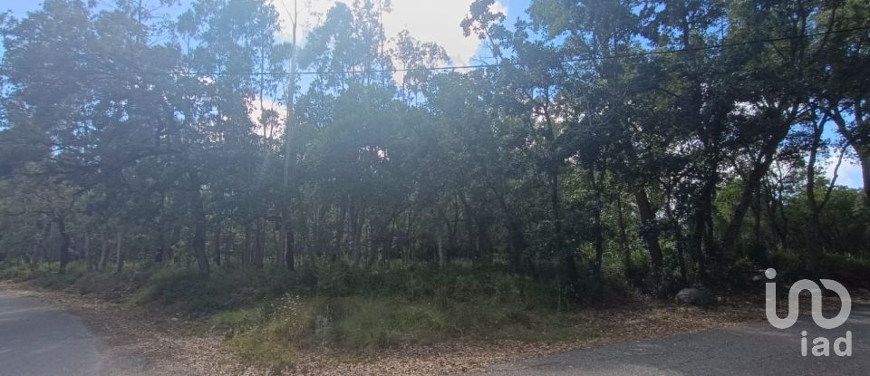 Land in Aljubarrota of 2,112 m²