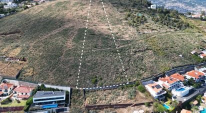 Terrain à São Martinho de 5 170 m²