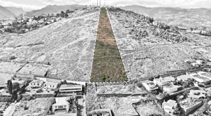 Terrain à São Martinho de 5 170 m²