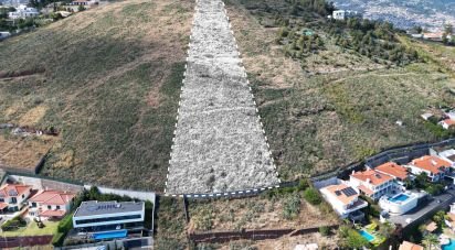 Terrain à São Martinho de 5 170 m²