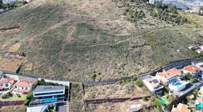 Terrain à São Martinho de 5 170 m²