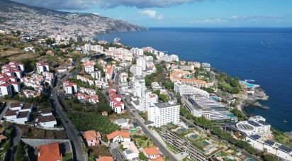 Terrain à São Martinho de 5 170 m²