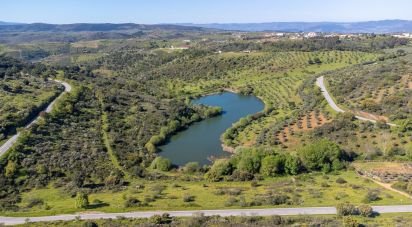 Terreno em Alfândega da Fé de 460 000 m²