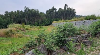 Terrain à bâtir à Louredo de 7 181 m²