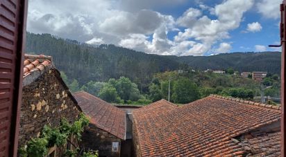 Maison traditionnelle T0 à Janeiro de Cima e Bogas de Baixo de 130 m²