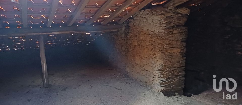 Casa tradicional T0 em Janeiro de Cima e Bogas de Baixo de 130 m²