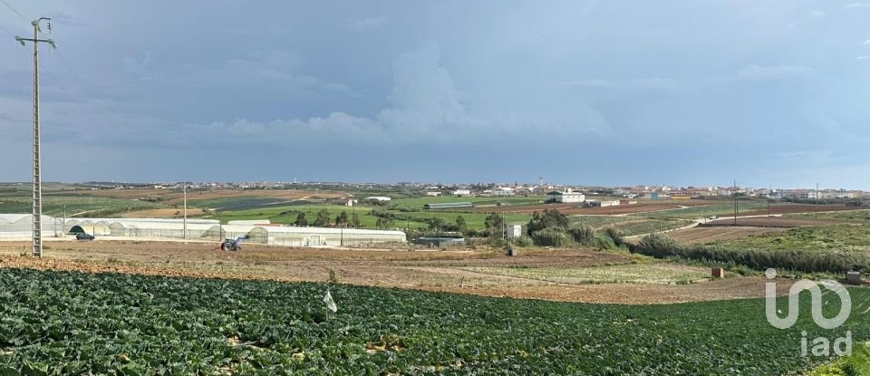 Land in Atouguia da Baleia of 5,840 m²