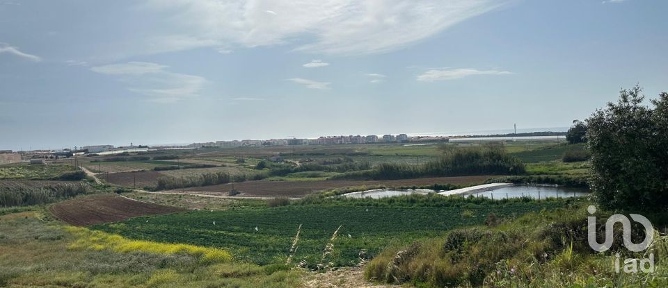 Land in Atouguia da Baleia of 5,840 m²