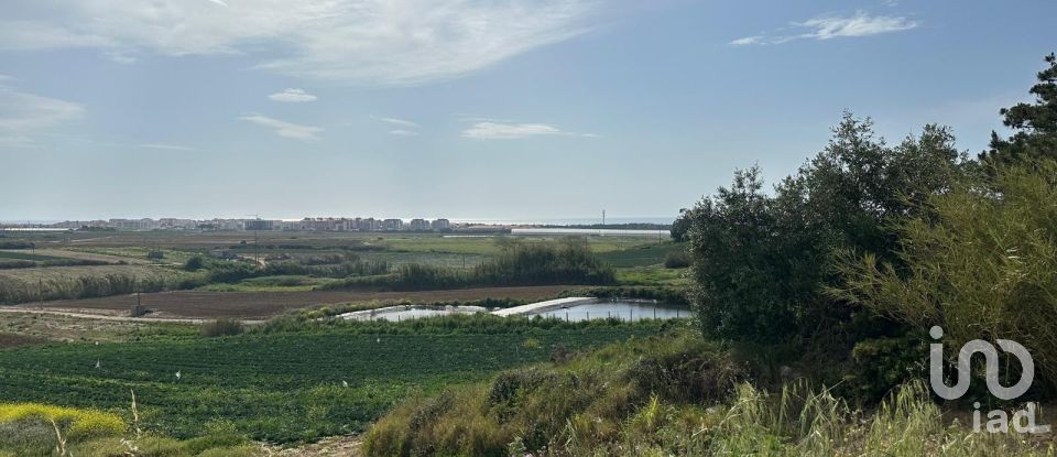 Land in Atouguia da Baleia of 5,840 m²