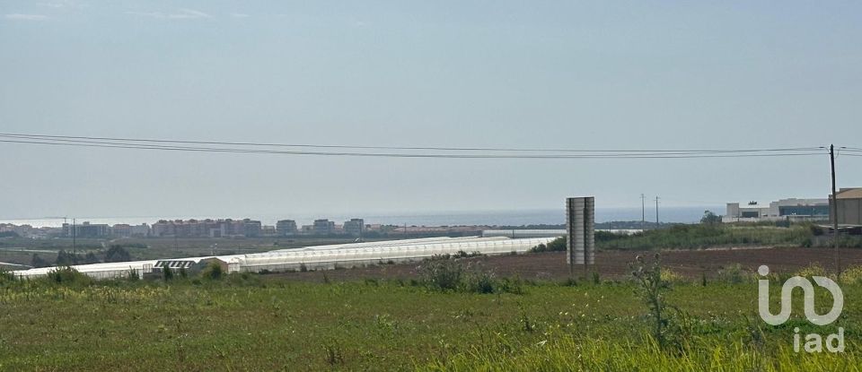 Land in Atouguia da Baleia of 5,840 m²