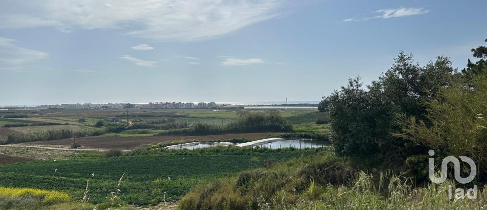 Land in Atouguia da Baleia of 5,840 m²