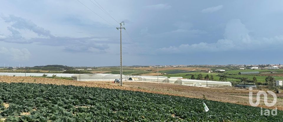 Land in Atouguia da Baleia of 5,840 m²