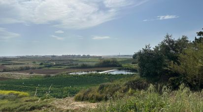 Terrain à Atouguia da Baleia de 5 840 m²