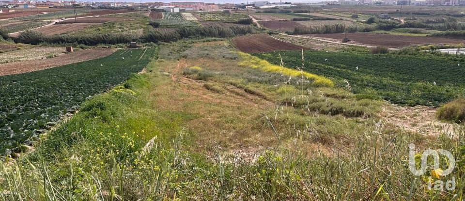 Land in Atouguia da Baleia of 5,840 m²
