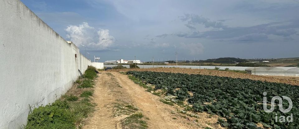 Land in Atouguia da Baleia of 5,840 m²