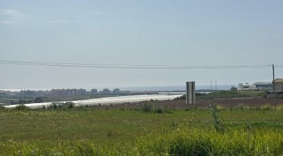 Terrain à Atouguia da Baleia de 5 840 m²