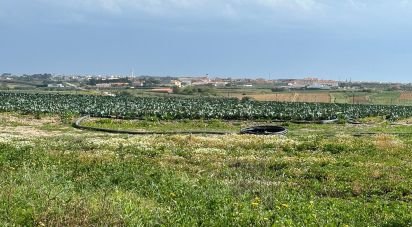 Terrain à Atouguia da Baleia de 5 840 m²