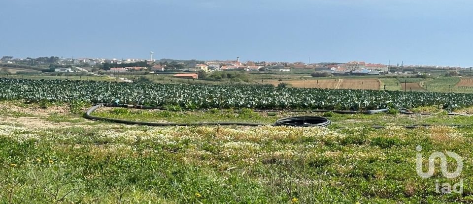 Land in Atouguia da Baleia of 5,840 m²