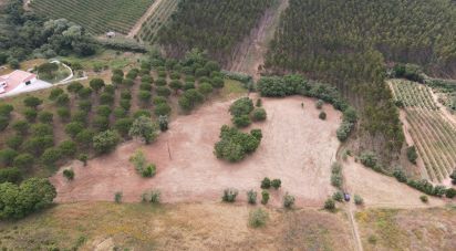 Terrain à Peral de 11 760 m²