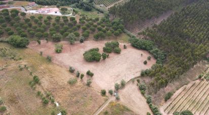 Terrain à Peral de 11 760 m²