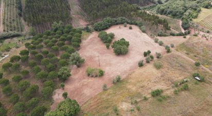 Terrain à Peral de 11 760 m²