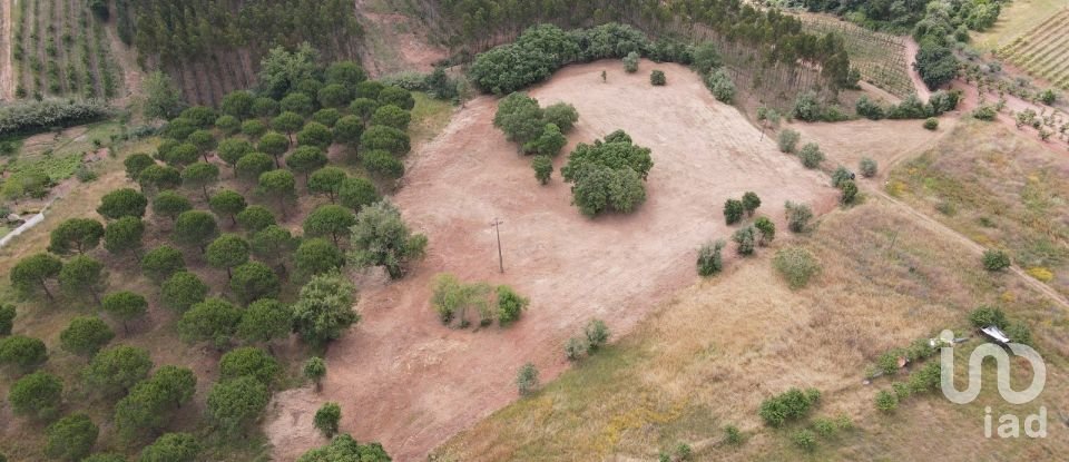 Terreno em Peral de 11 760 m²