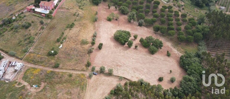 Terreno em Peral de 11 760 m²