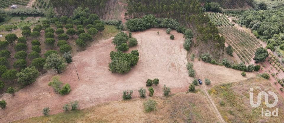 Terreno em Peral de 11 760 m²