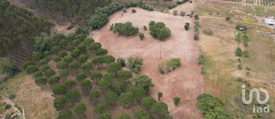 Terreno em Peral de 11 760 m²