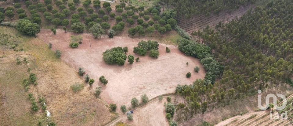 Terreno em Peral de 11 760 m²