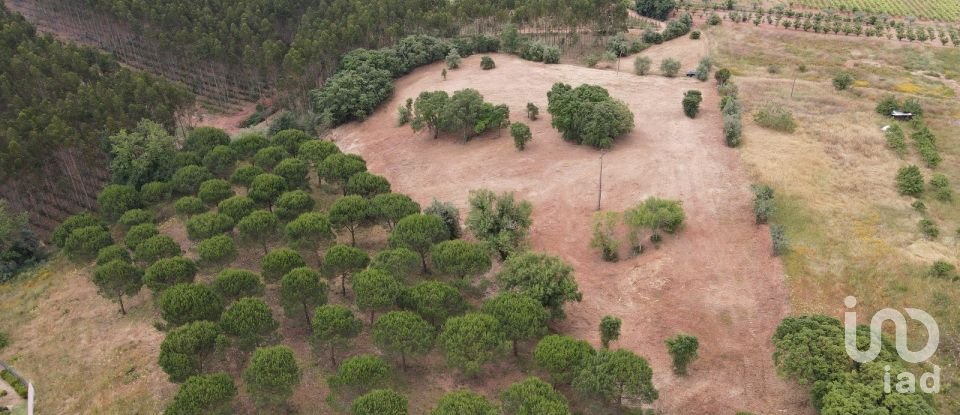 Terreno em Peral de 11 760 m²