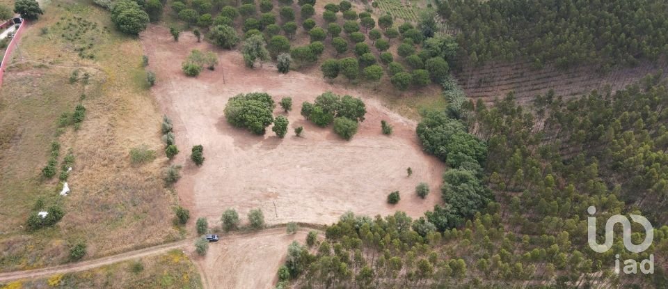 Terreno em Peral de 11 760 m²