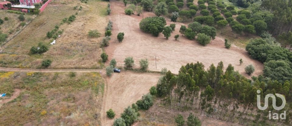 Terreno em Peral de 11 760 m²